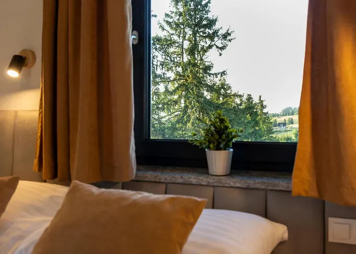 Blizej Nieba- Rzepiska-bukowina Tatrzanska アパート *